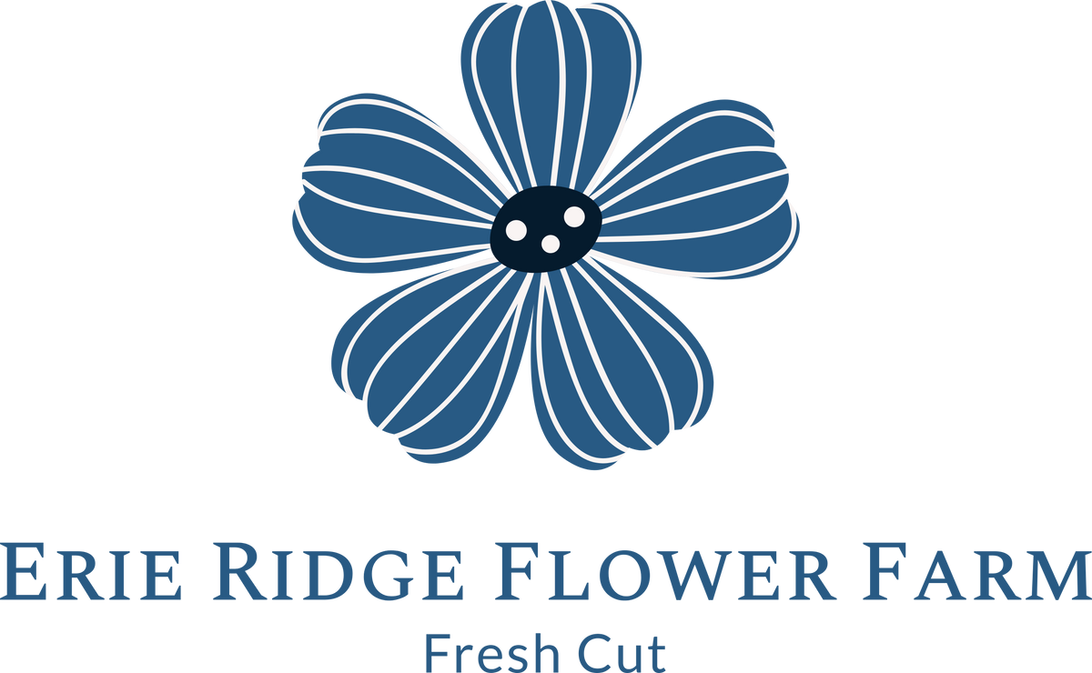 Weddings Erie Ridge Flower Farm